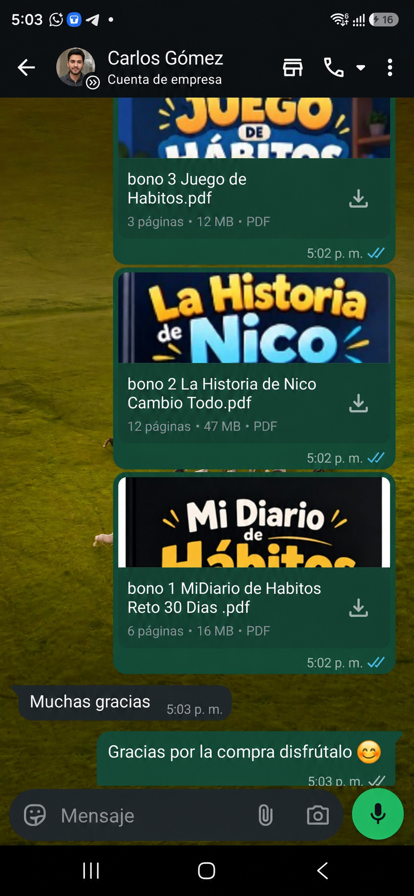Captura del envío de El Poder de tus Hábitos y sus bonos por WhatsApp, 1